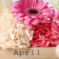 福井市高木北メンテナンスケアサロンのApril限定メニューのお知らせ