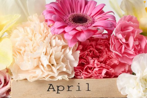 福井市高木北メンテナンスケアサロンのApril限定メニューのお知らせ